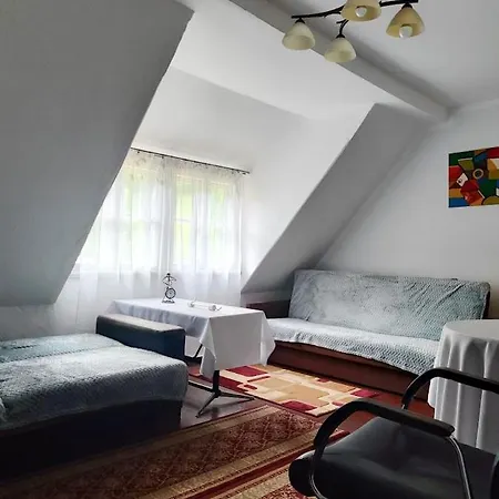 Baza Wypadowa 5km Na Wielka Sowe! Przy Strumyku Z Wyposazona Kuchnia Διαμέρισμα *